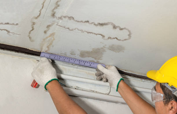 Reliable Mold Remediation contractor in Manchester, GA by Water Damage Irwin